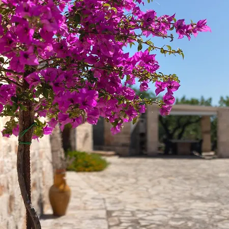 Feriehus Trulli I Cedri, Monopoli