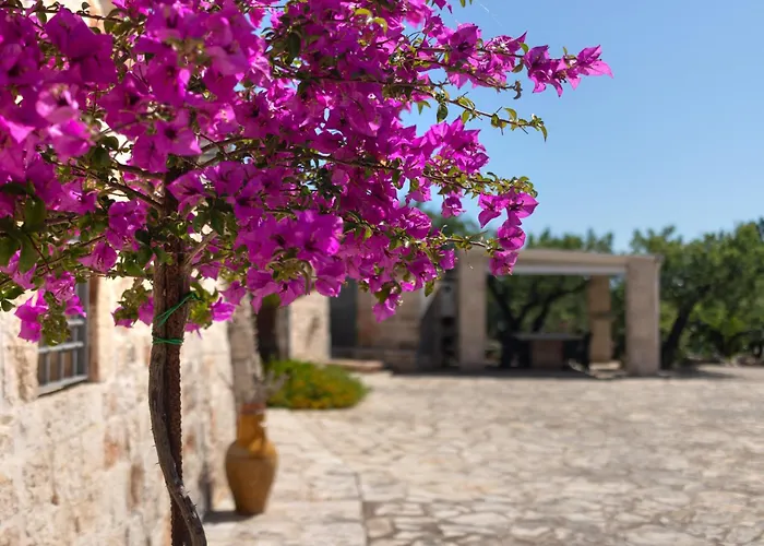 Ferienhaus Trulli I Cedri, Monopoli